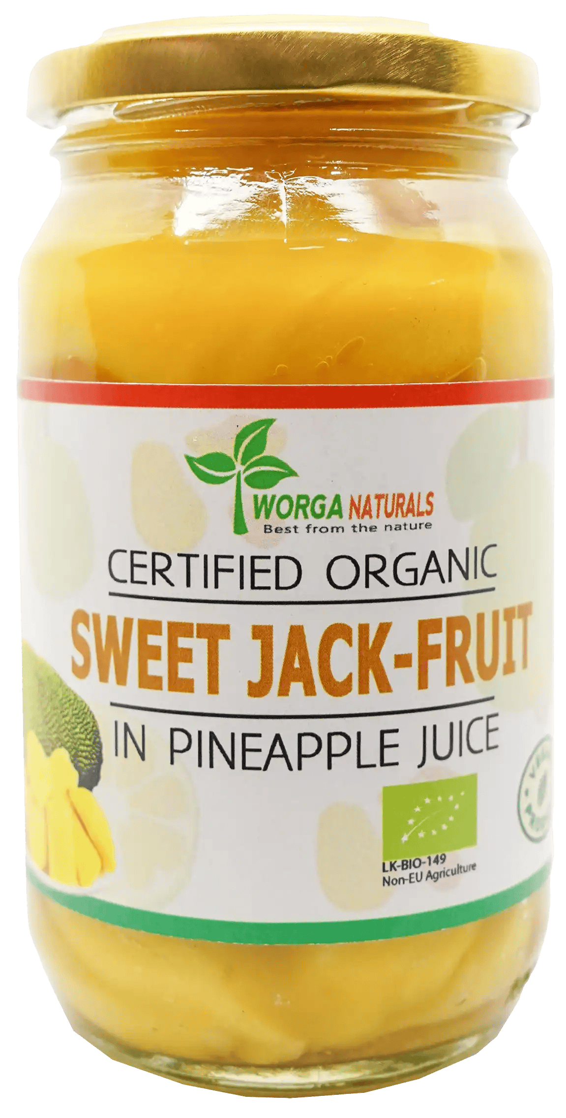 Organic Sweet Jackfruit Chunks in Pineapple Juice