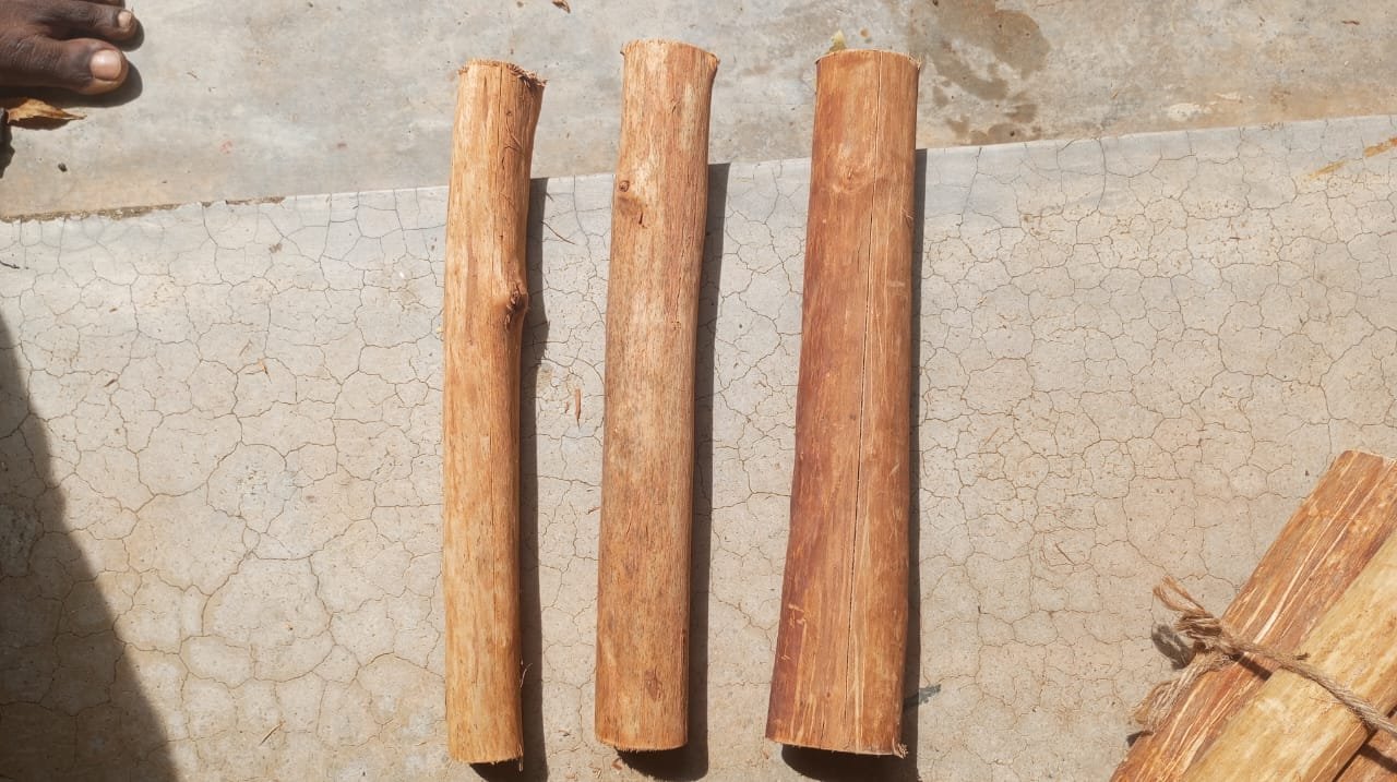 Madera de Canela de Ceilán