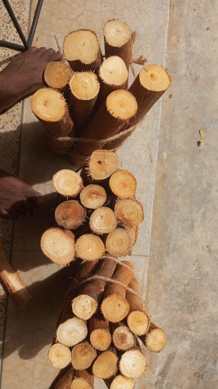 Madera de Canela seleccionada
