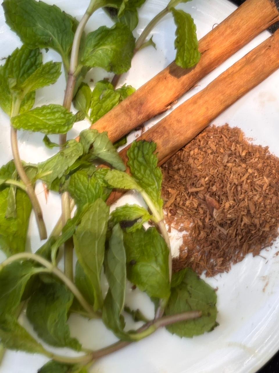 Canela de Ceilán fresca y procesamiento tradicional
